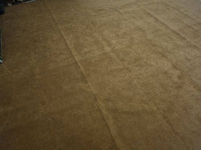 brown carpet 0