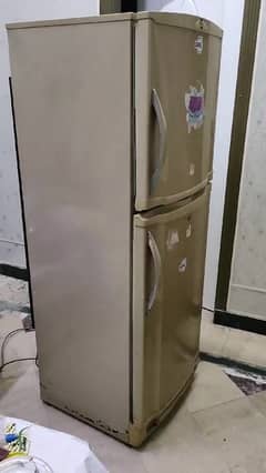 Pel Fridge 2 Door 260L Capacity 85L Freezer Capacity