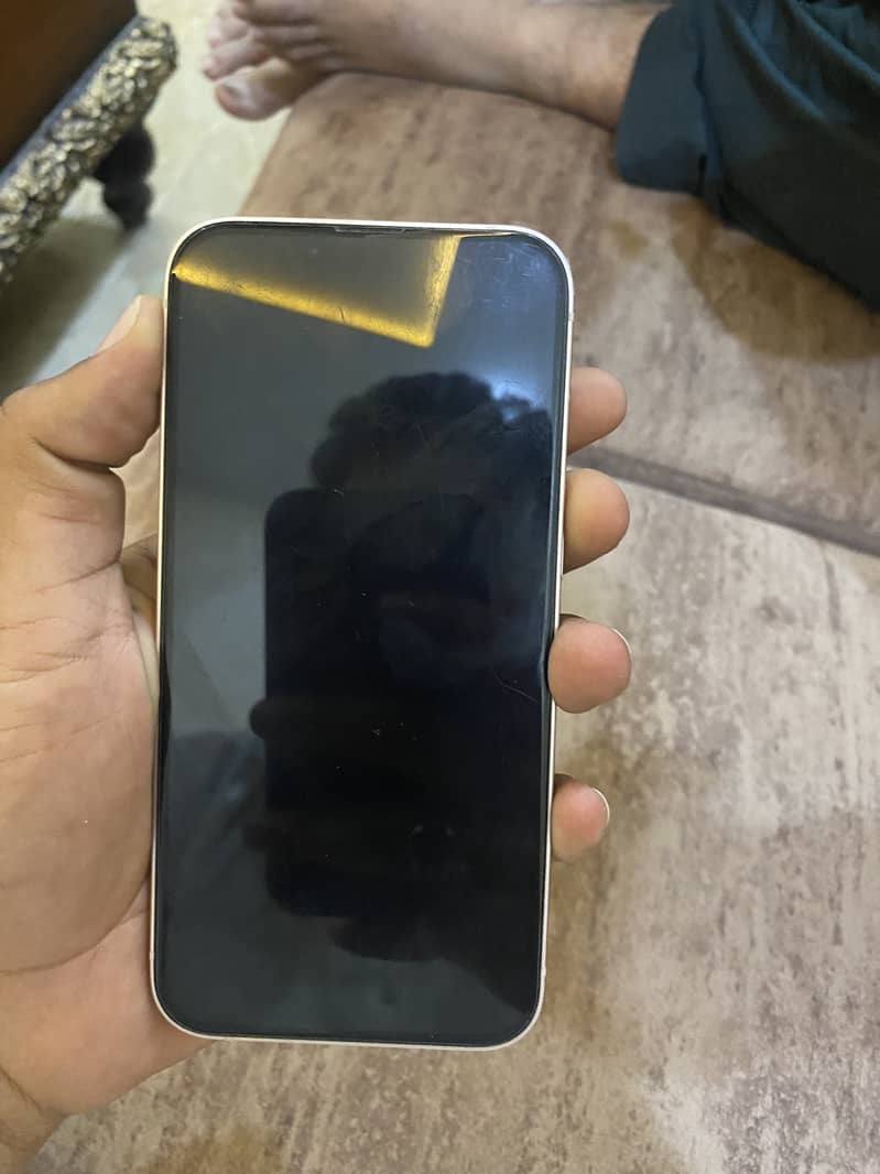 Apple iPhone 13 0