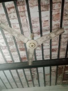 Ceiling fan