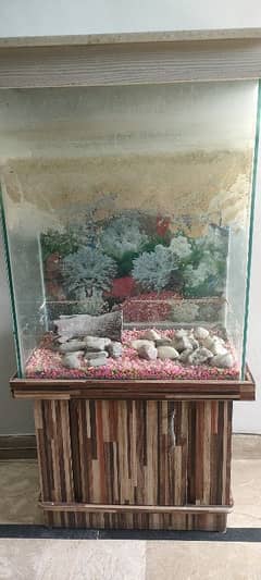 Aquarium for Sale