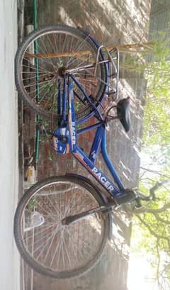 bicycle for sale