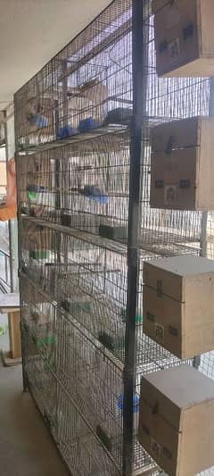 10 portion cage in good condition