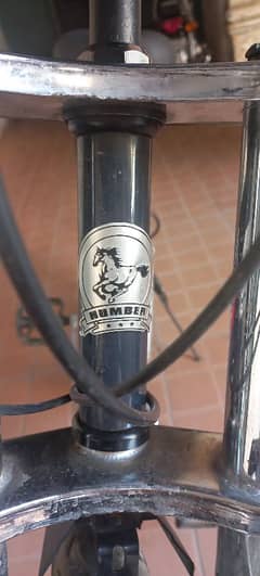 Sports Bicycle Hercules