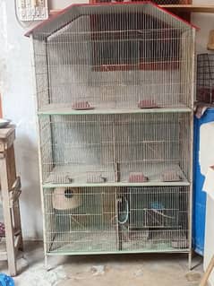 Birds cage