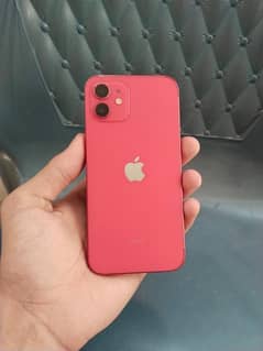 IPhone 12 non pta jv water pack urgent sale