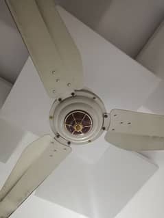 pak Fan AC DC