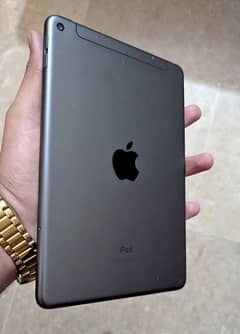 Ipad Mini 5