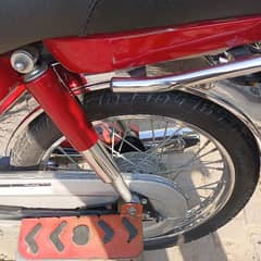 Honda CD 70 2023/24 model