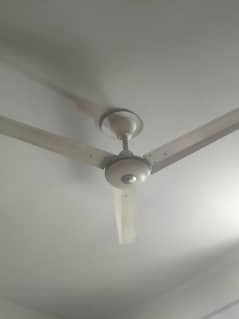 Ceiling fan