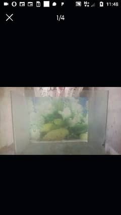 Fish Tank Aquarium in BIG SiZE