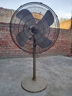 pedestal Fan / standing Fan