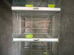 Cage for Parrots and hens