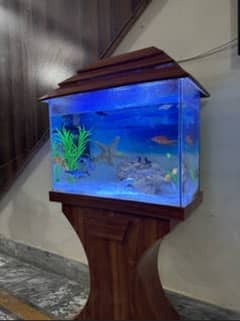 wooden aquarium for fishes