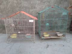 Birds cage. love birds cage, parrot's cage