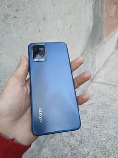 vivo