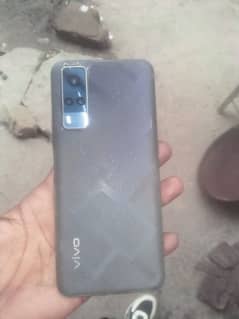 vivo