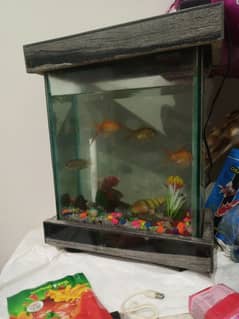Equram and fish for sale
