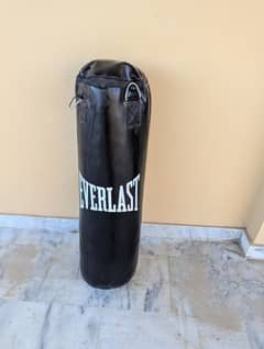 Boxing Bag Everlast Black | Professional Quality