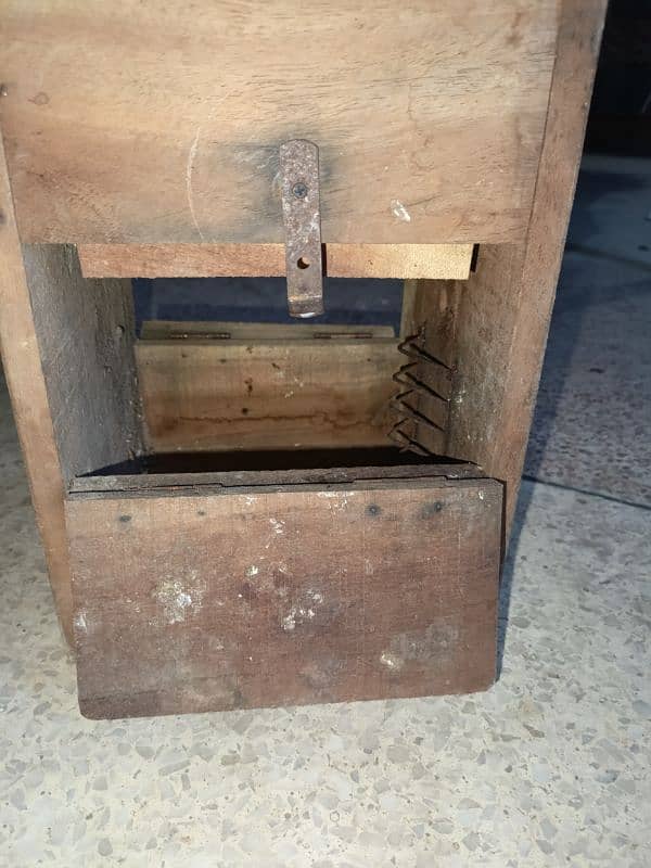Breeding box for parrots 2