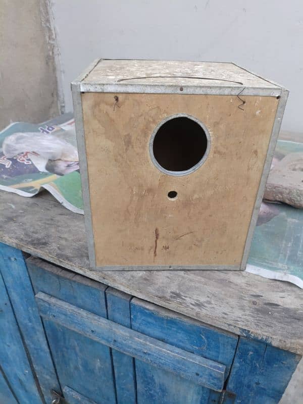 Breeding box for parrots 4