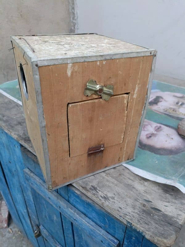 Breeding box for parrots 6