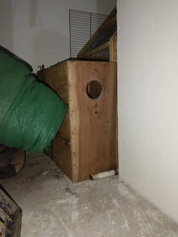 Breeding box for parrots 10