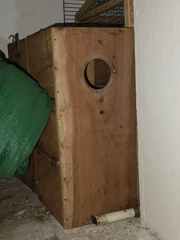 Breeding box for parrots 11