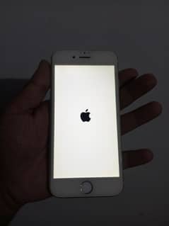 iphone 6 pta prove