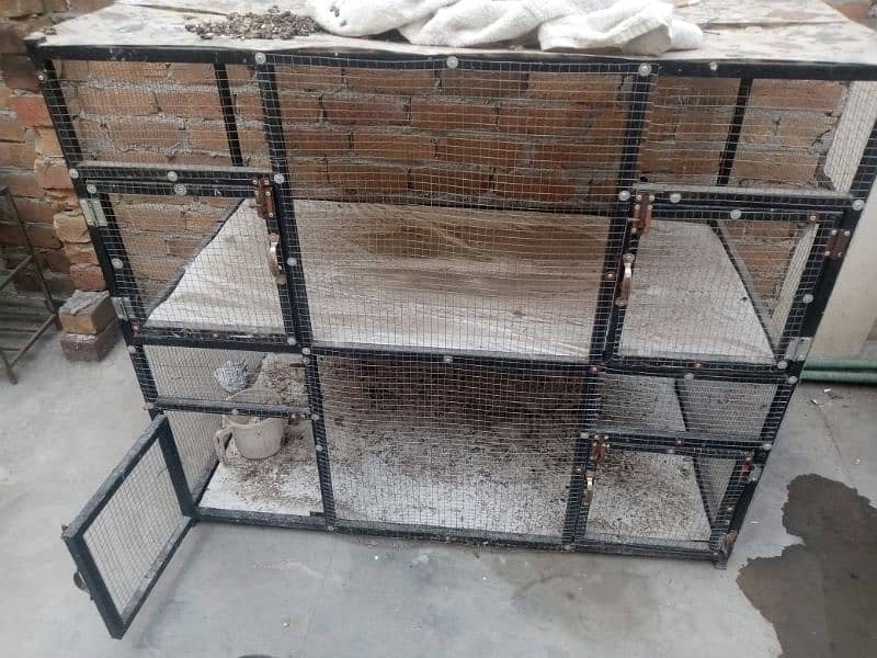 birds cage 0
