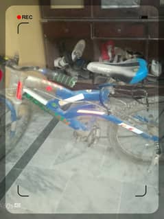 cycle for sale