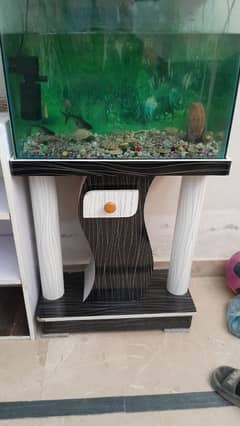 2 Feet Aquarium For Sale With Fishes. . (Excellent Condition)