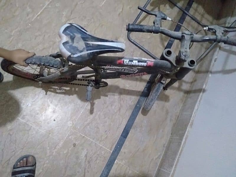 2 cycles for sale 3