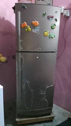 Pel Fridge 5 years used