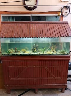 FISH AQUIRIUM . FOR LARGE SPACE LIKE SCHOOL HOSPITAL ETC