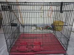 Ringneck and other birds breeder cage for sale