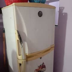 Pel dead fridge