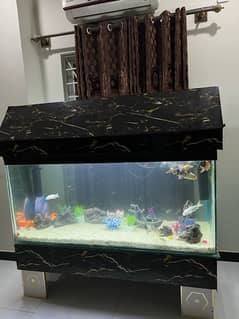 full aquarium for sale with 45 fishes  size 5 foot by 4 foot