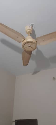 Ceiling Fan