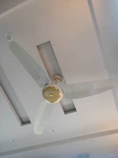 Indus+Parwaz ceiling Fan's for sale Brand new condition