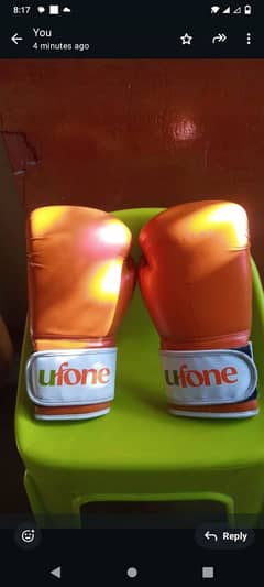 punching bag and glove's in good condation