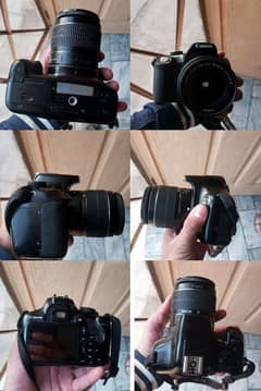 Canon D1300