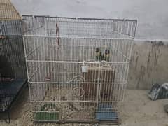 lovebirds breeders pair chicks eggs cages 8 portion birds