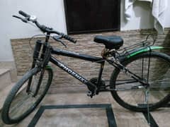 Phoenix Bicycle for Sale – Like New, Used for Only 1 Month!