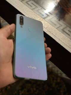 vivo