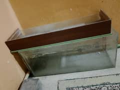 Aquarium Box  Price 2500