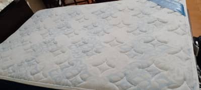 Master Celeste Ultra Ortho Mattress