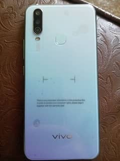 vivo