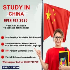 China Study Consultants