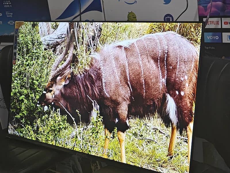 SOOPER OFFER 43 LED TV SAMSUNG 03228083060 5